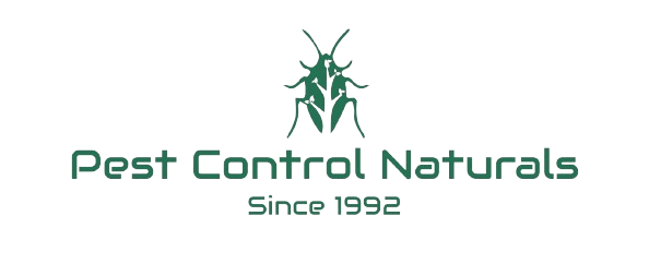 Natural Pest Control in Chennai