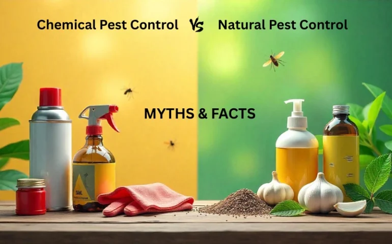natural-pest-control-chemical-pest-control