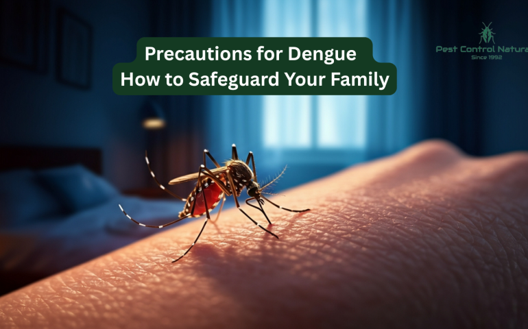 Family following precautions for dengue by using mosquito nets and repellents