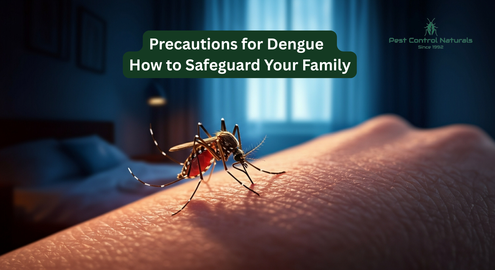 Family following precautions for dengue by using mosquito nets and repellents