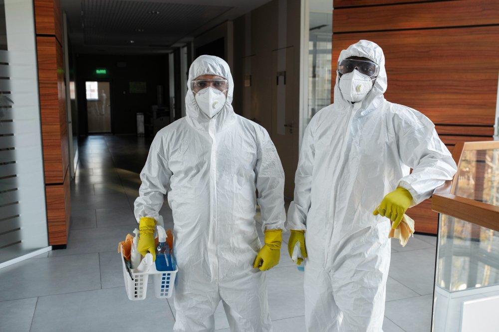 Best Termite Control Chennai