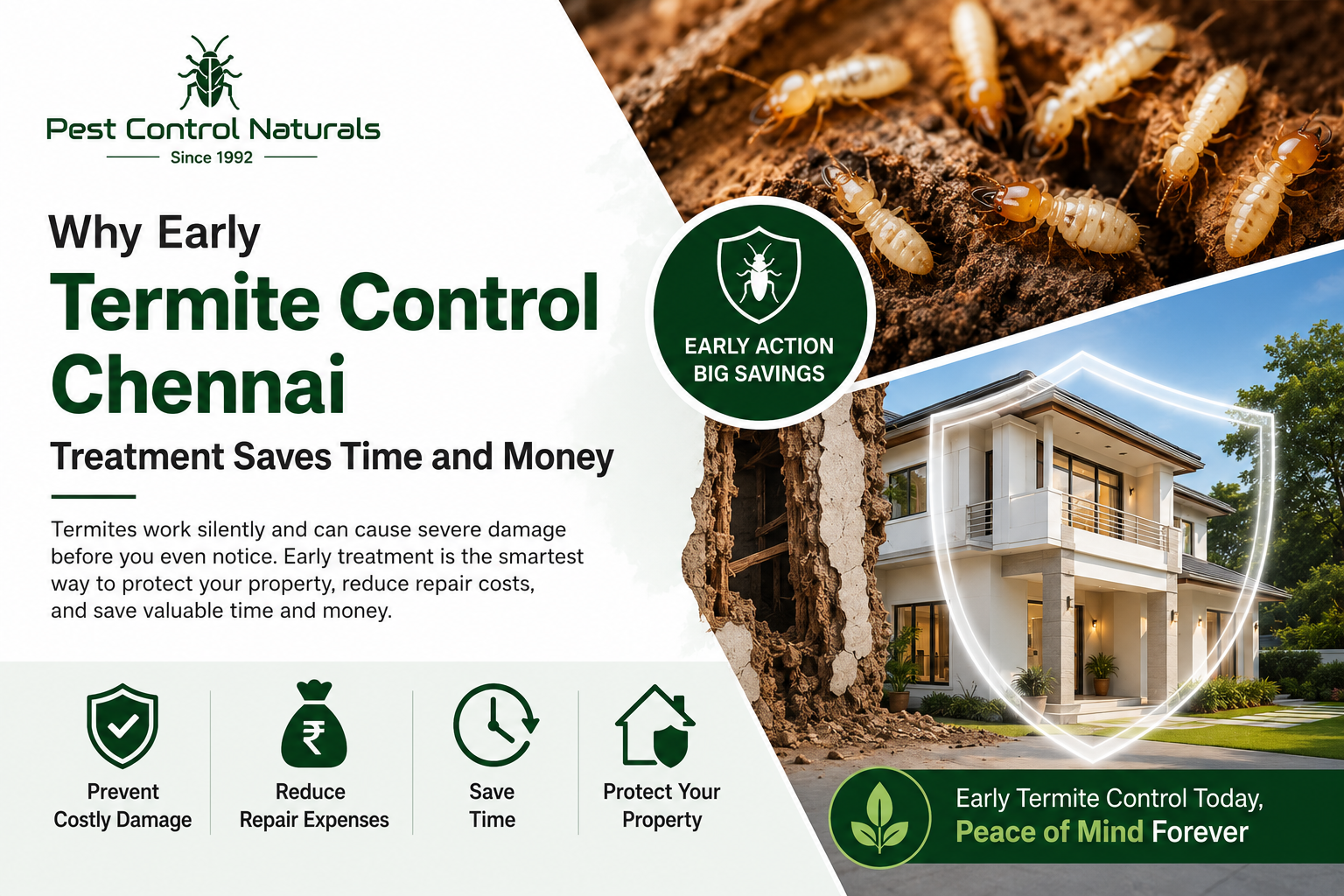 Best Termite Control Chennai treatment saves time and money