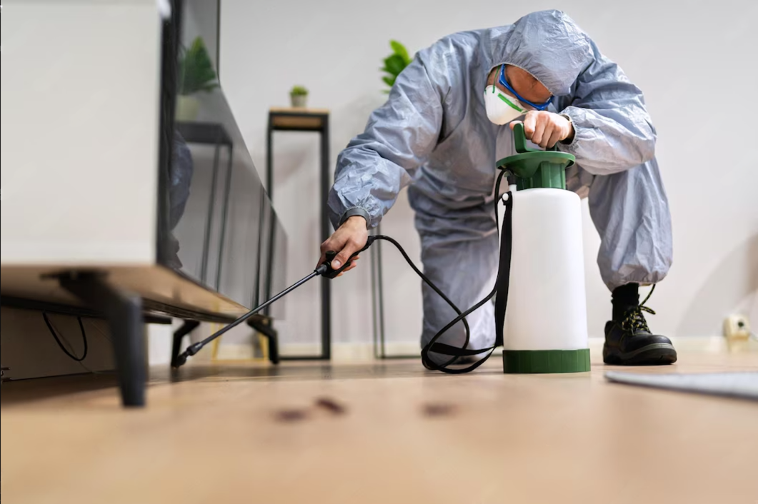 Why Termite Control Chennai Services Are Essential for Every Property