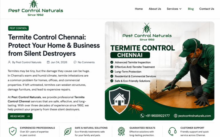 termite-control-chennai-professional-anti-termite-treatment-services