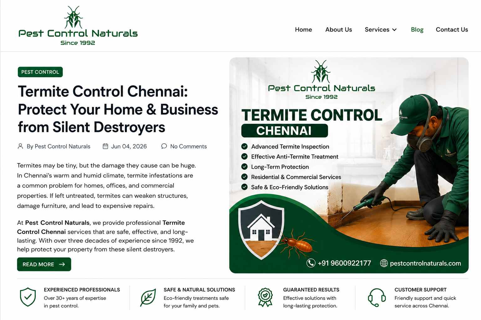 termite-control-chennai-professional-anti-termite-treatment-services