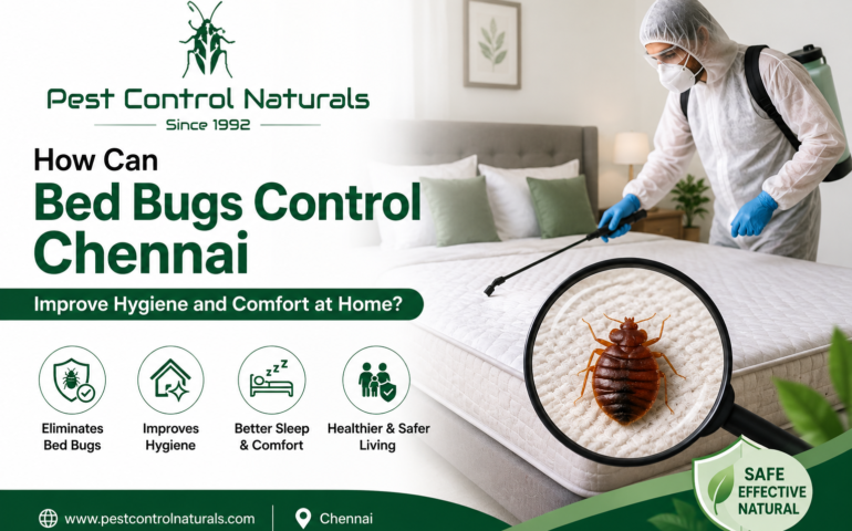 Bed Bugs Control Chennai