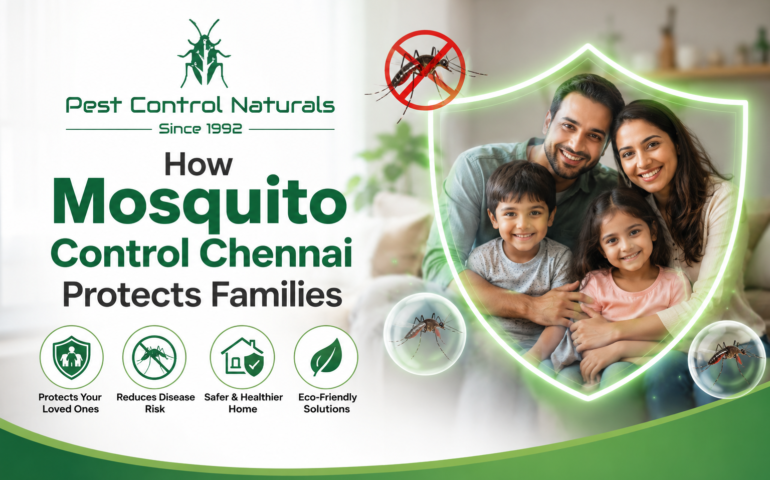 How Mosquito Control Chennai Protects Families,