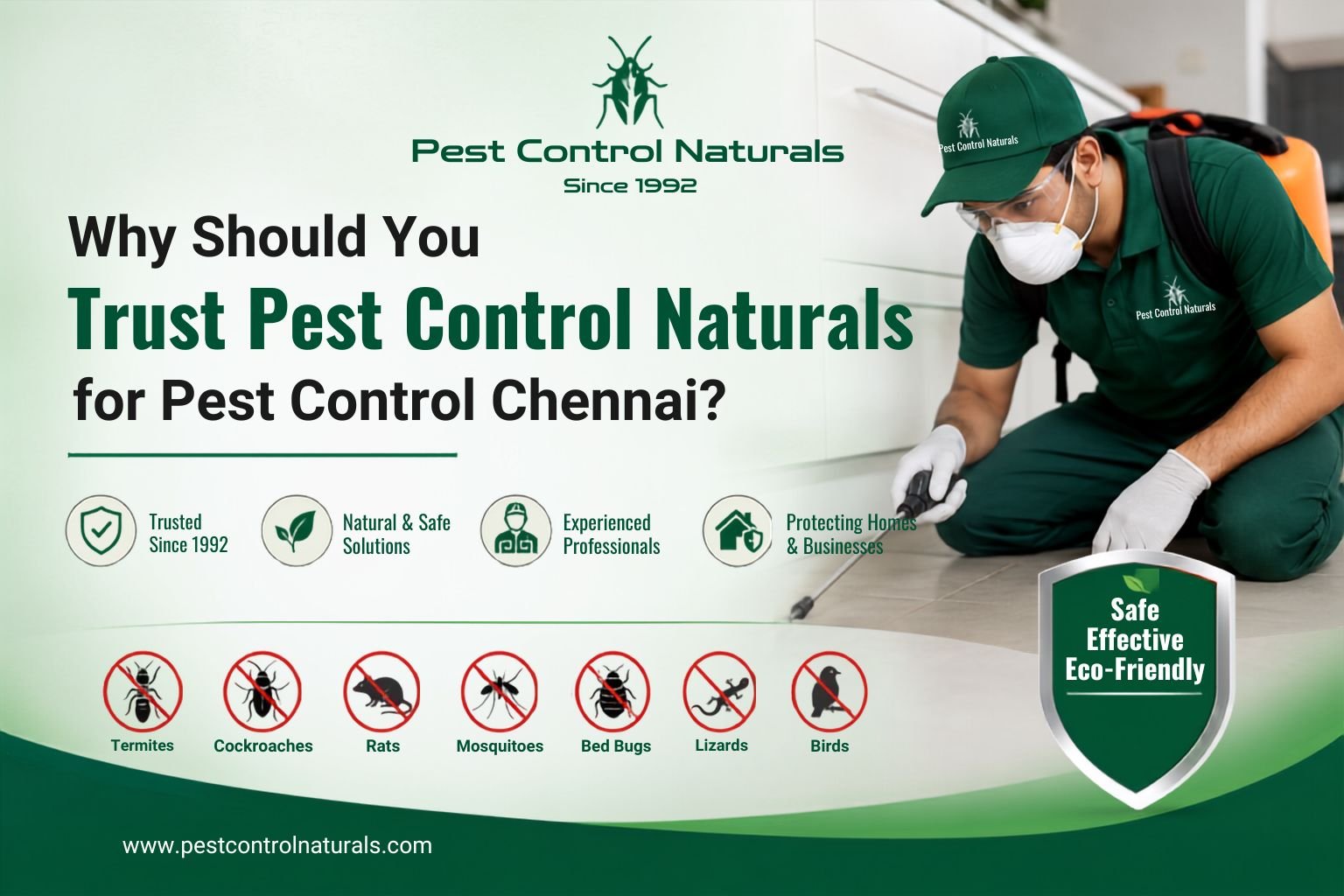 Natural Pest Control Services in Chennai