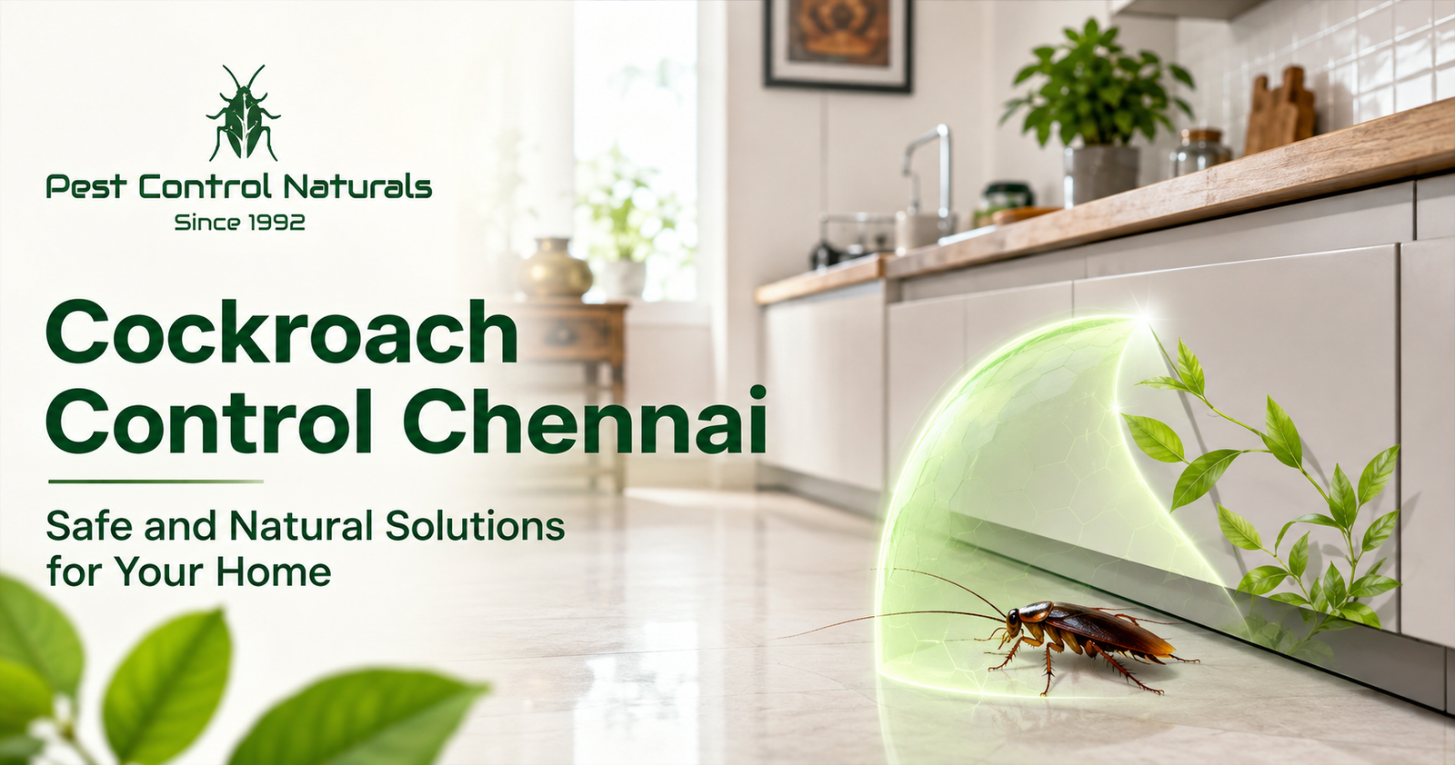 Cockroach Control Chennai
