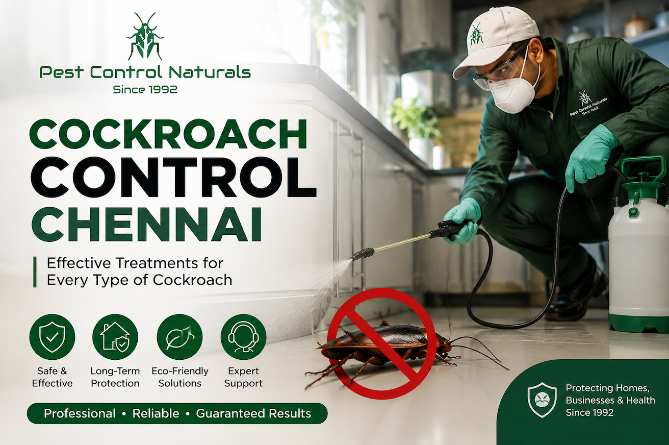 Cockroach Control service in Chennai