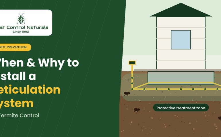 Reticulation System for Termite Control