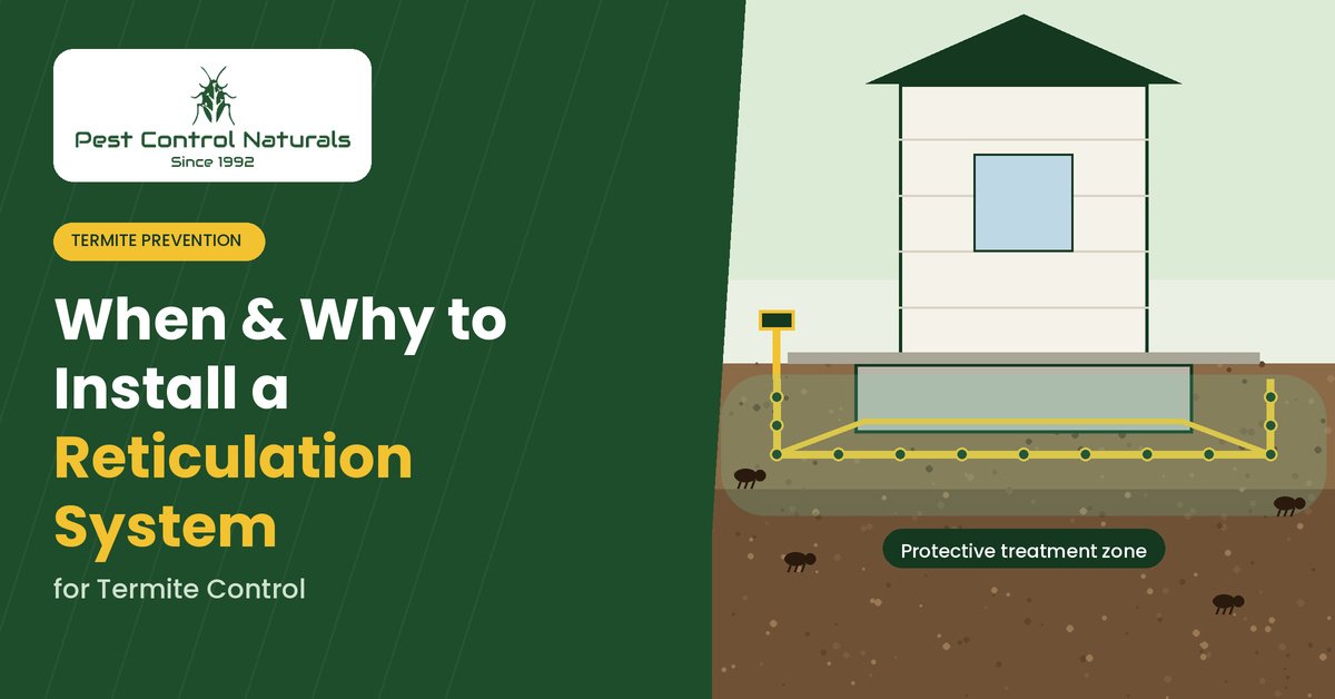 Reticulation System for Termite Control